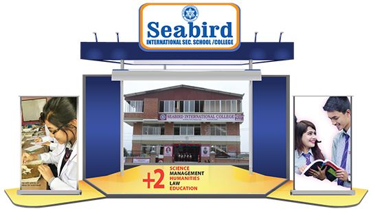 Seabird International College