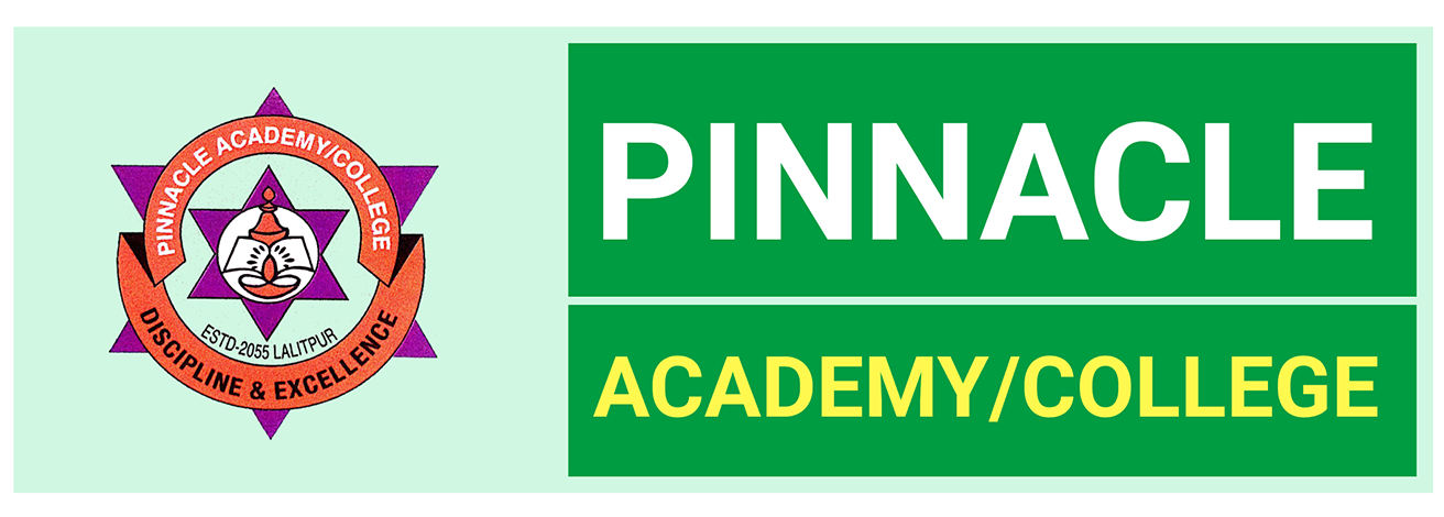 Pinnacle School