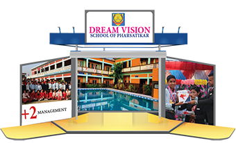 Dream Vision School
