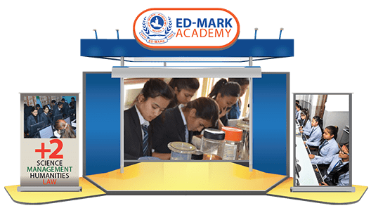 Ed Mark Academy